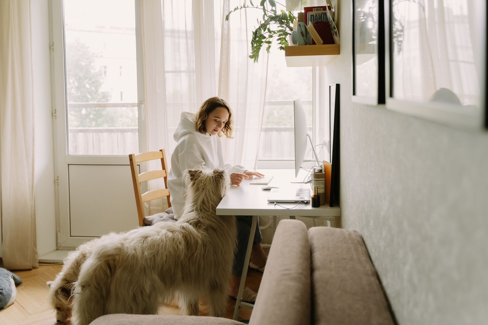 a white dog standing beside a woman working on a computer